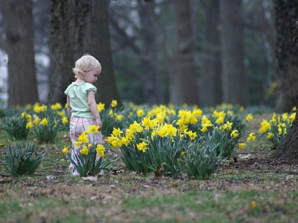Eczema and Spring Allergies - 3 Tips to Enjoy the Season